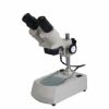 Binocular Stereo Microscopes